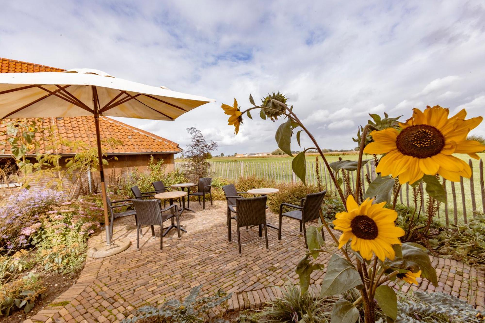 B&B Stefans Pottery Poperinge Exterior foto